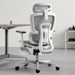 Hbada Ergonomic Office Chair